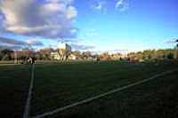 soccer (49)
